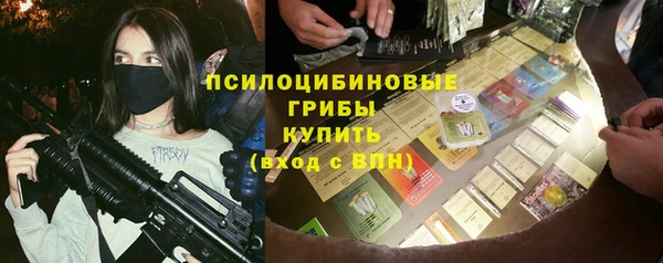 Альфа ПВП Белокуриха