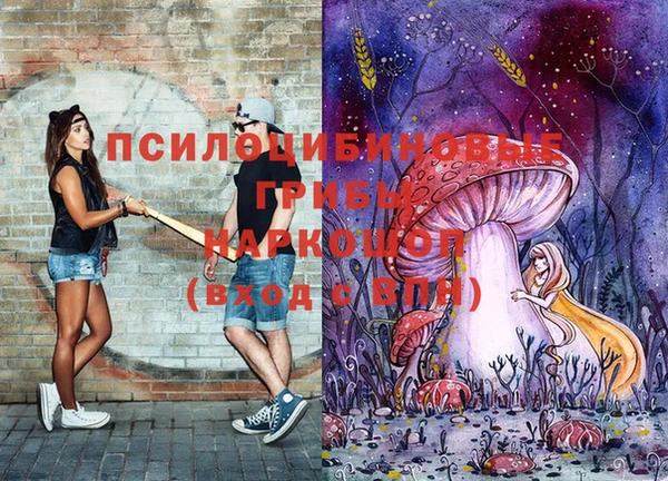 тгк Беломорск